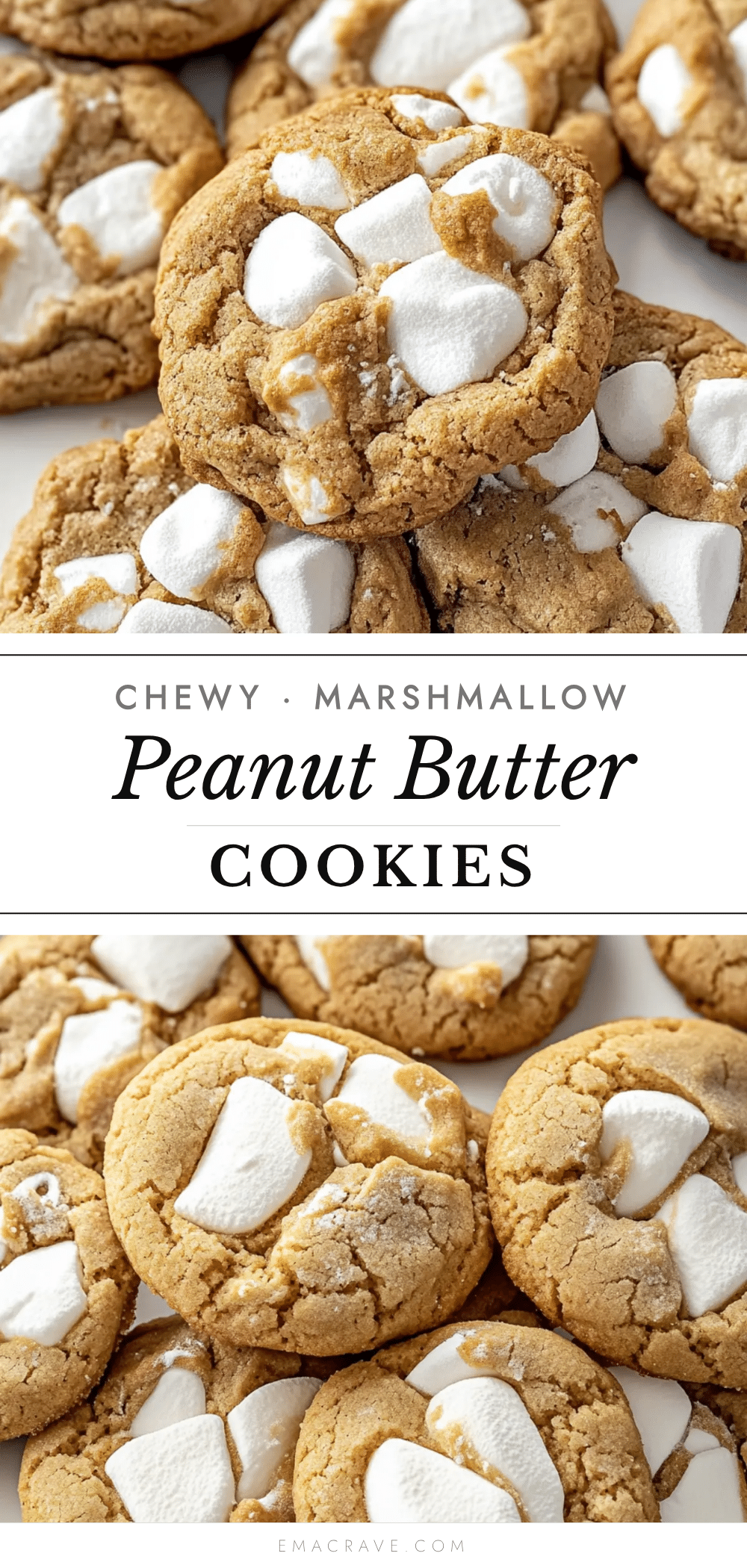 chewy peanut butter marshmallow cookies recipe