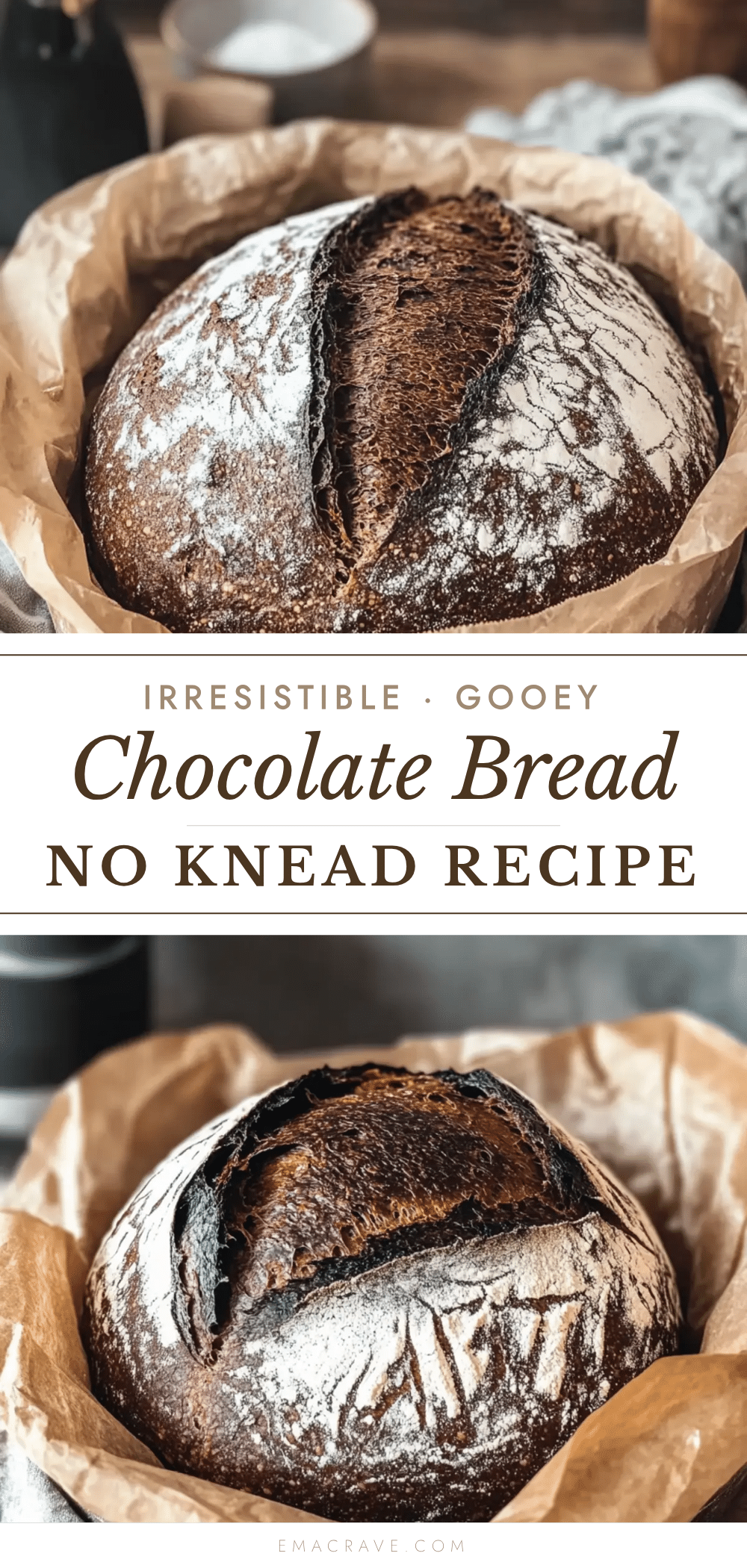 chocolate no knead bread recipe