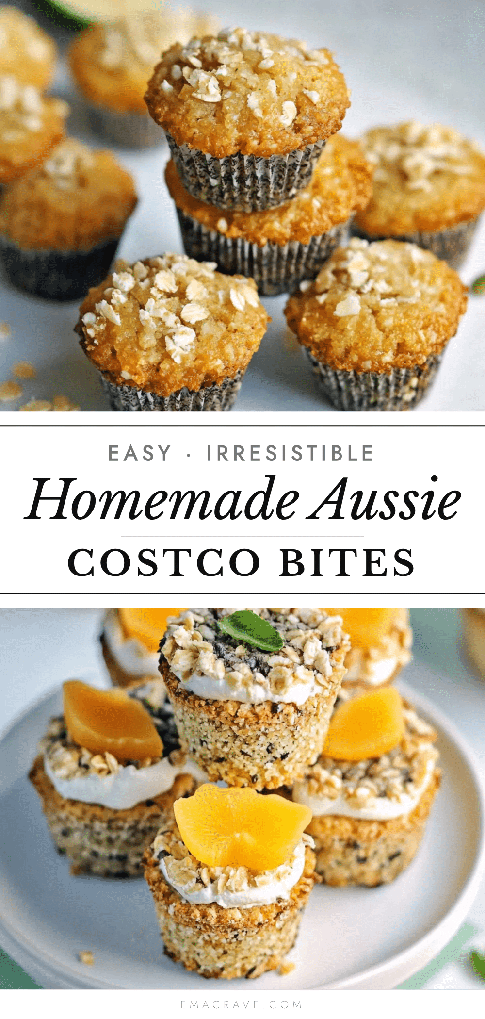 Costco Aussie Bites Recipe recipe