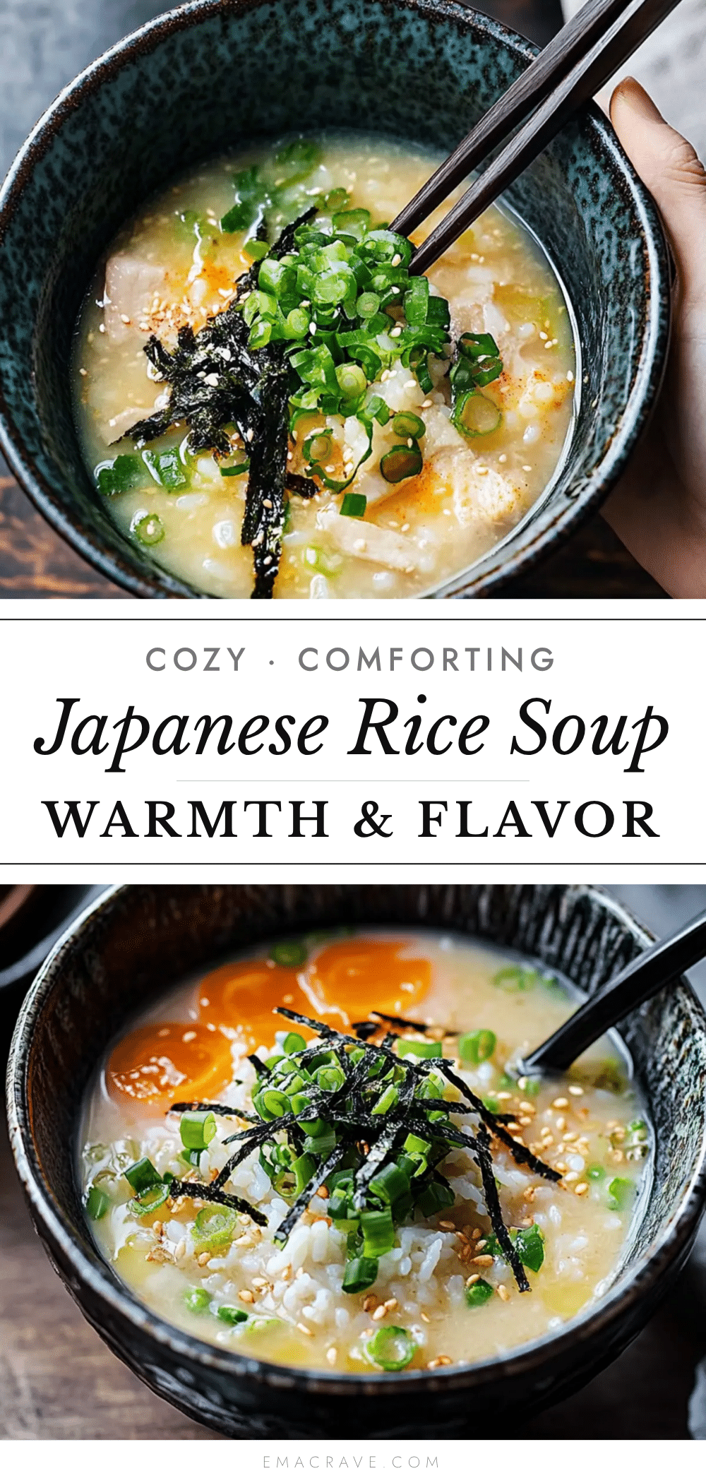 Cozy Japanese Rice Soup recipe