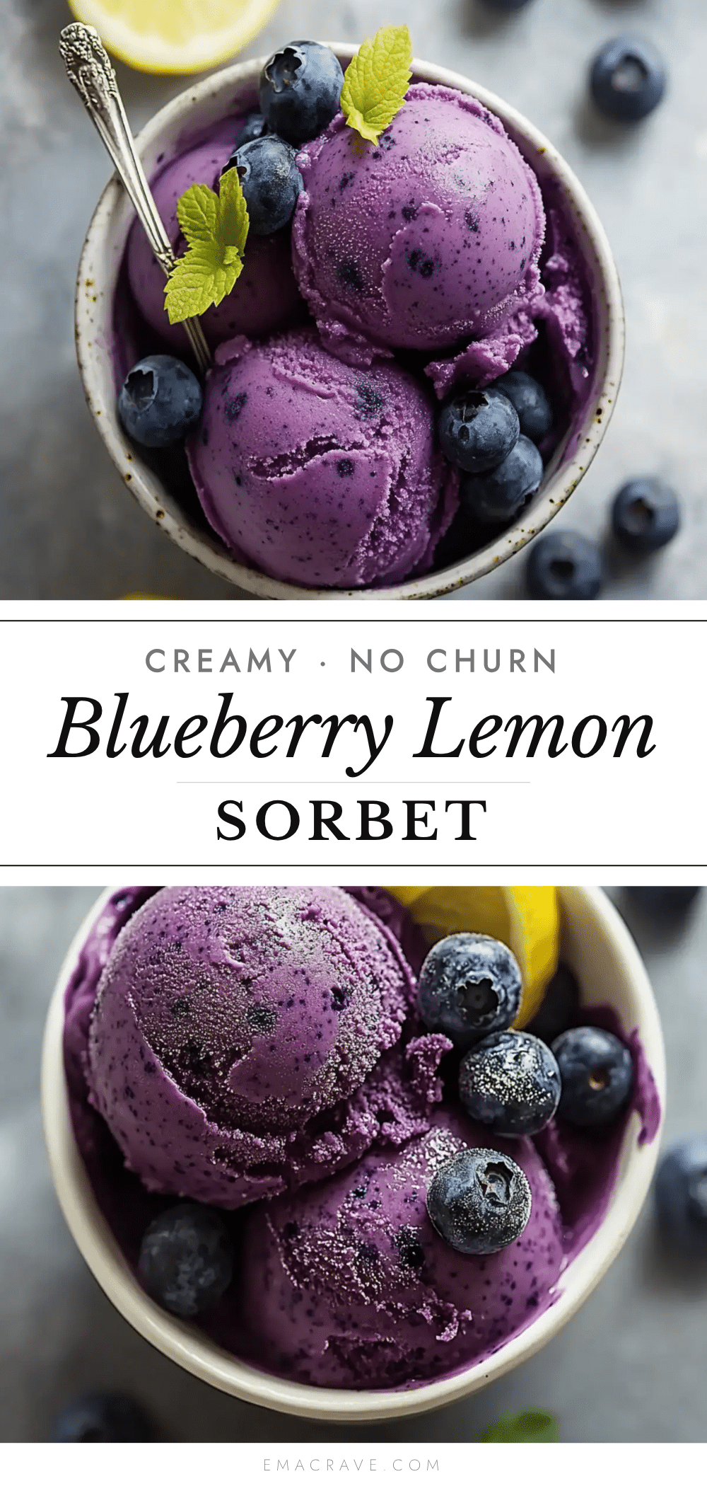 creamy no churn blueberry lemon sorbet recipe