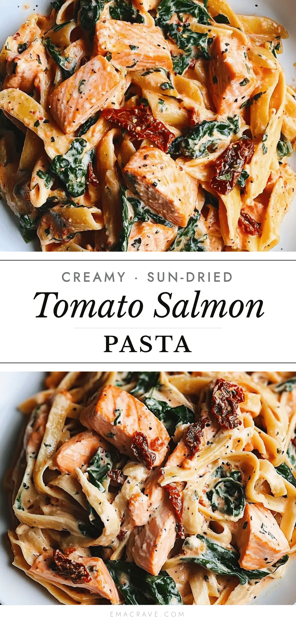 creamy salmon pasta recipe