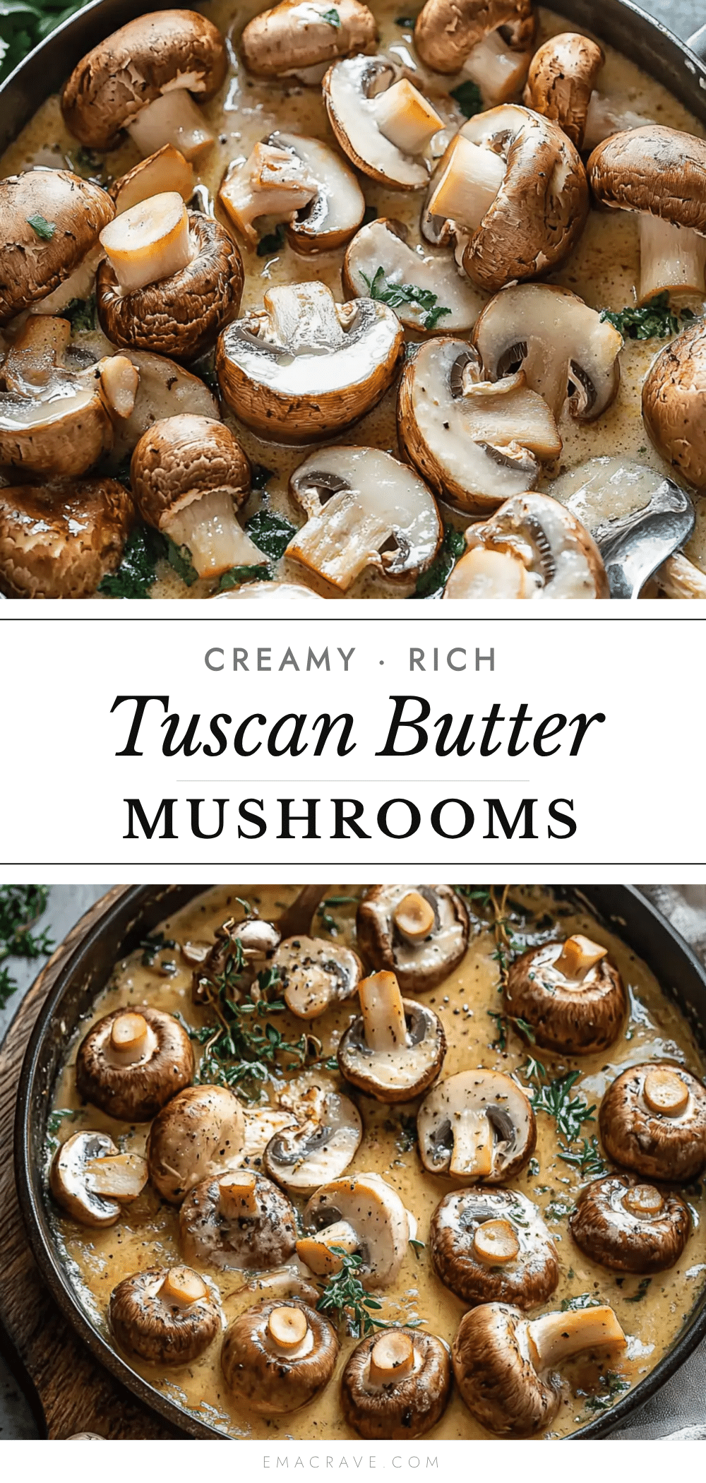 creamy tuscan butter mushrooms recipe