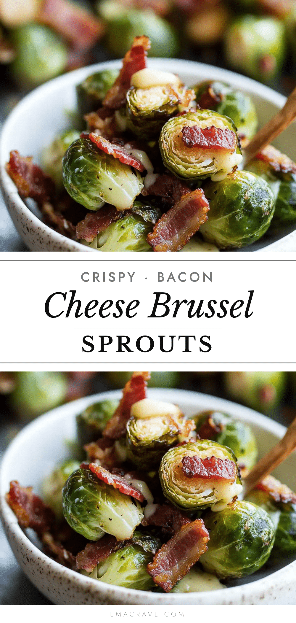 crispy bacon cheese brussels sprouts recipe