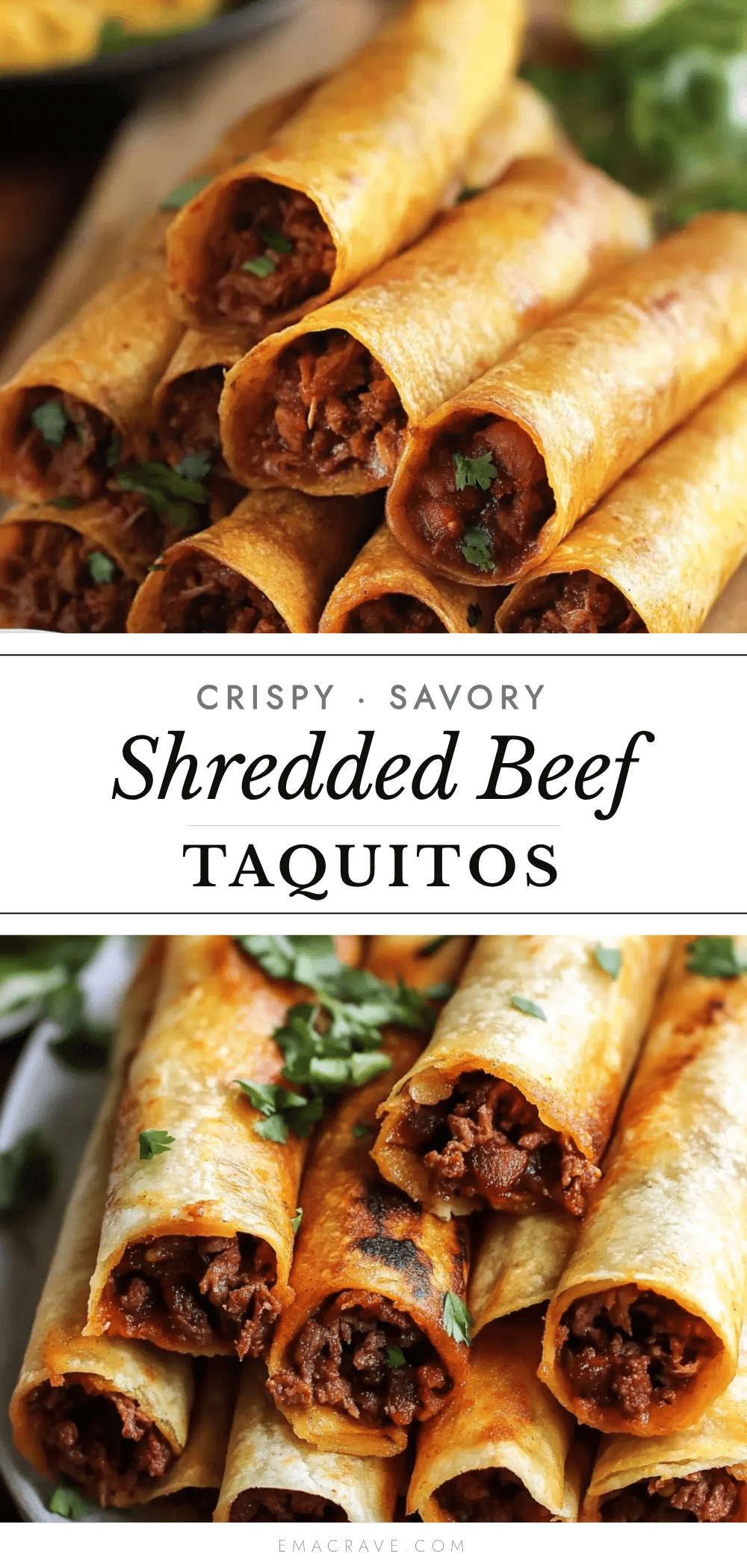 crispy savory shredded beef taquitos recipe
