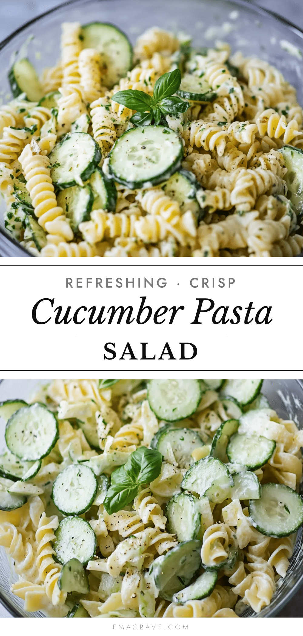 fresh cucumber pasta salad recipe