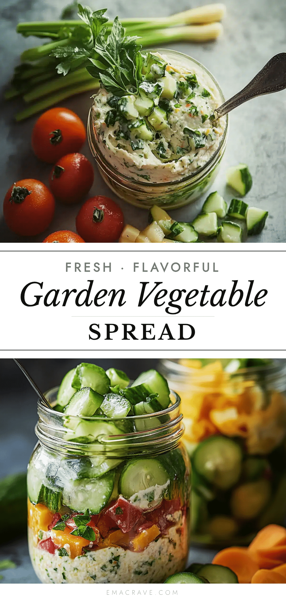 fresh garden vegetable spread recipe