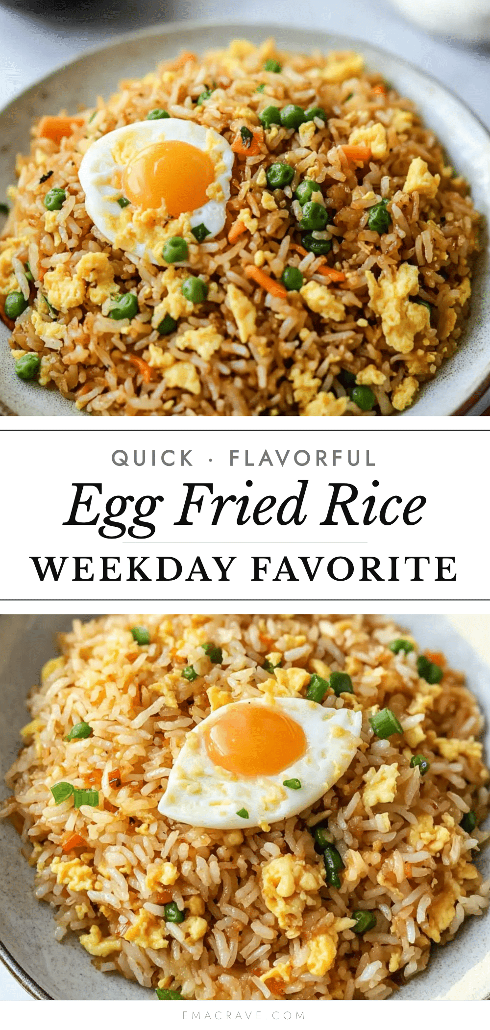quick egg fried rice recipe recipe
