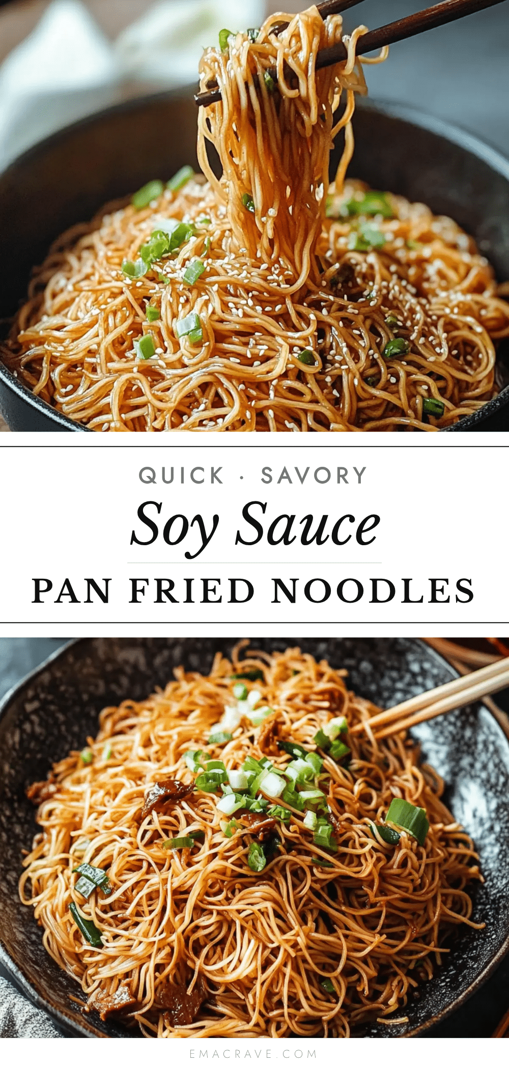quick savory soy sauce pan fried noodles recipe