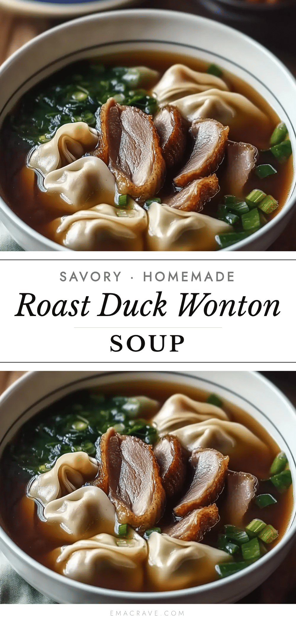 roast duck and wonton soup recipe