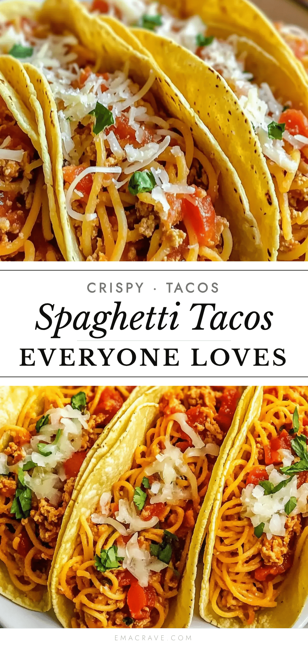 spaghetti tacos recipe recipe