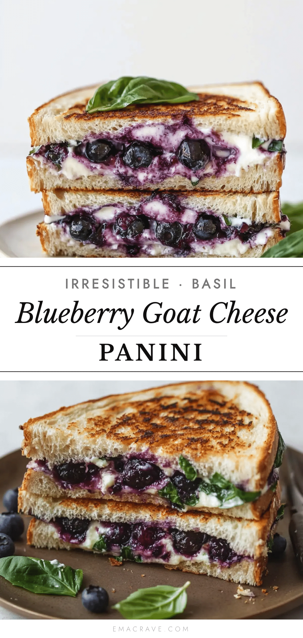 blueberry basil goat cheese panini recipe