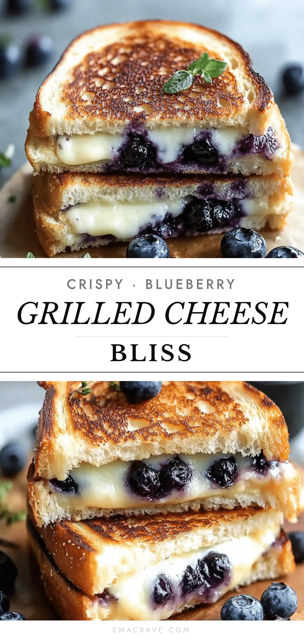 blueberry grilled cheese recipe