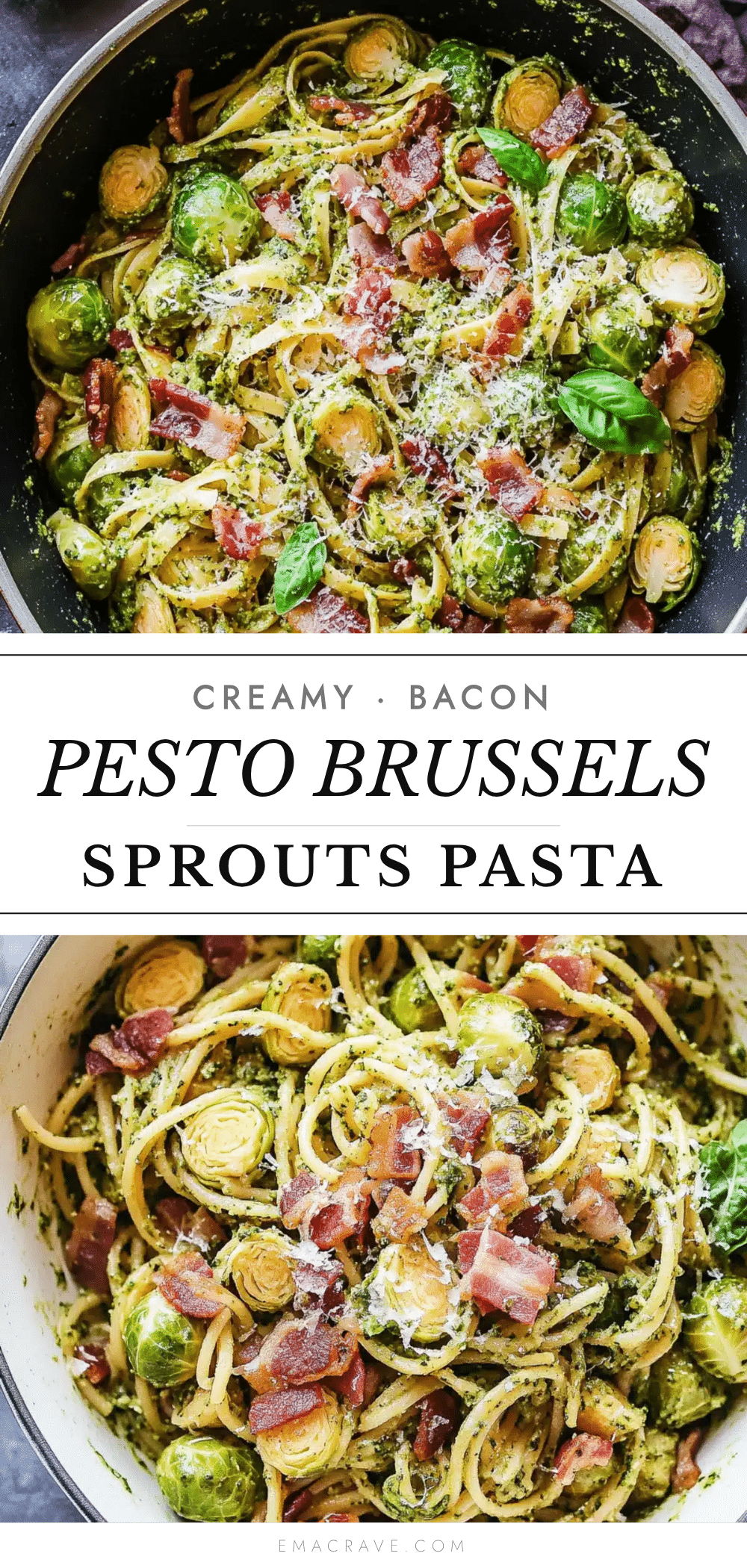brussels sprouts and bacon pesto pasta recipe