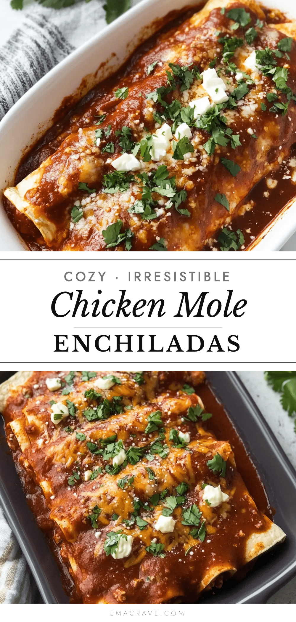 chicken mole enchiladas recipe