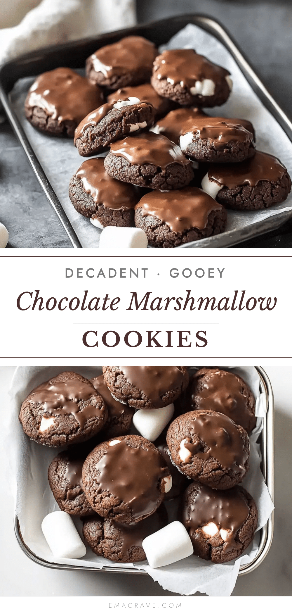 chocolate marshmallow cookies recipe