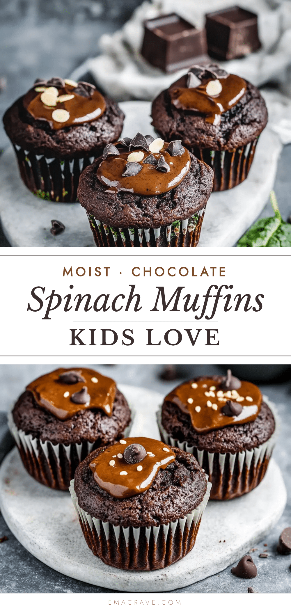 chocolate spinach muffins recipe