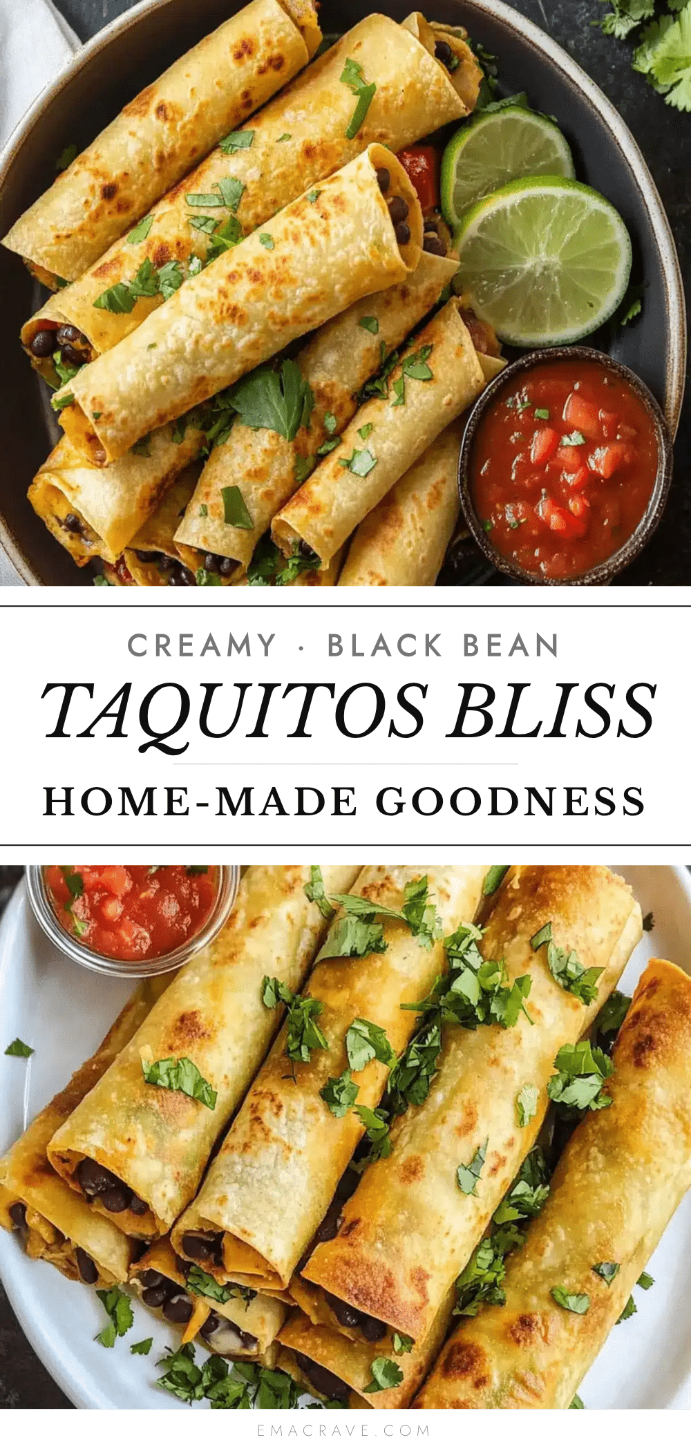 creamy black bean taquitos recipe