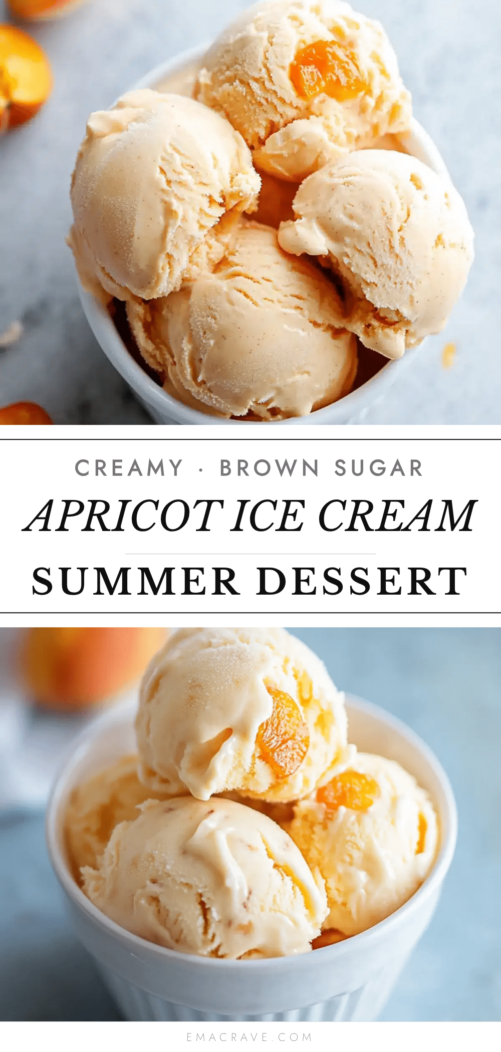 creamy brown sugar apricot ice cream recipe