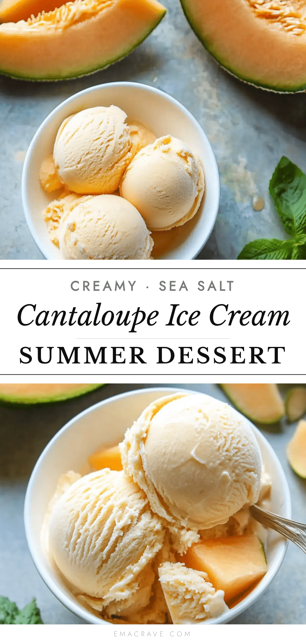 creamy cantaloupe sea salt ice cream recipe