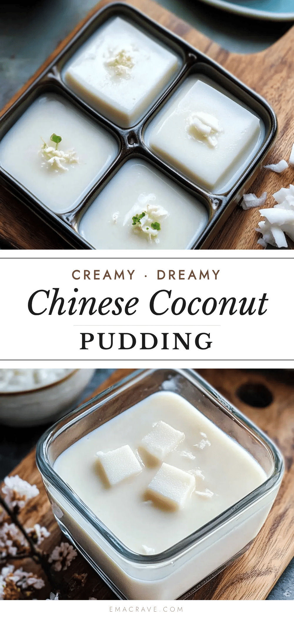 creamy chinese coconut pudding recipe
