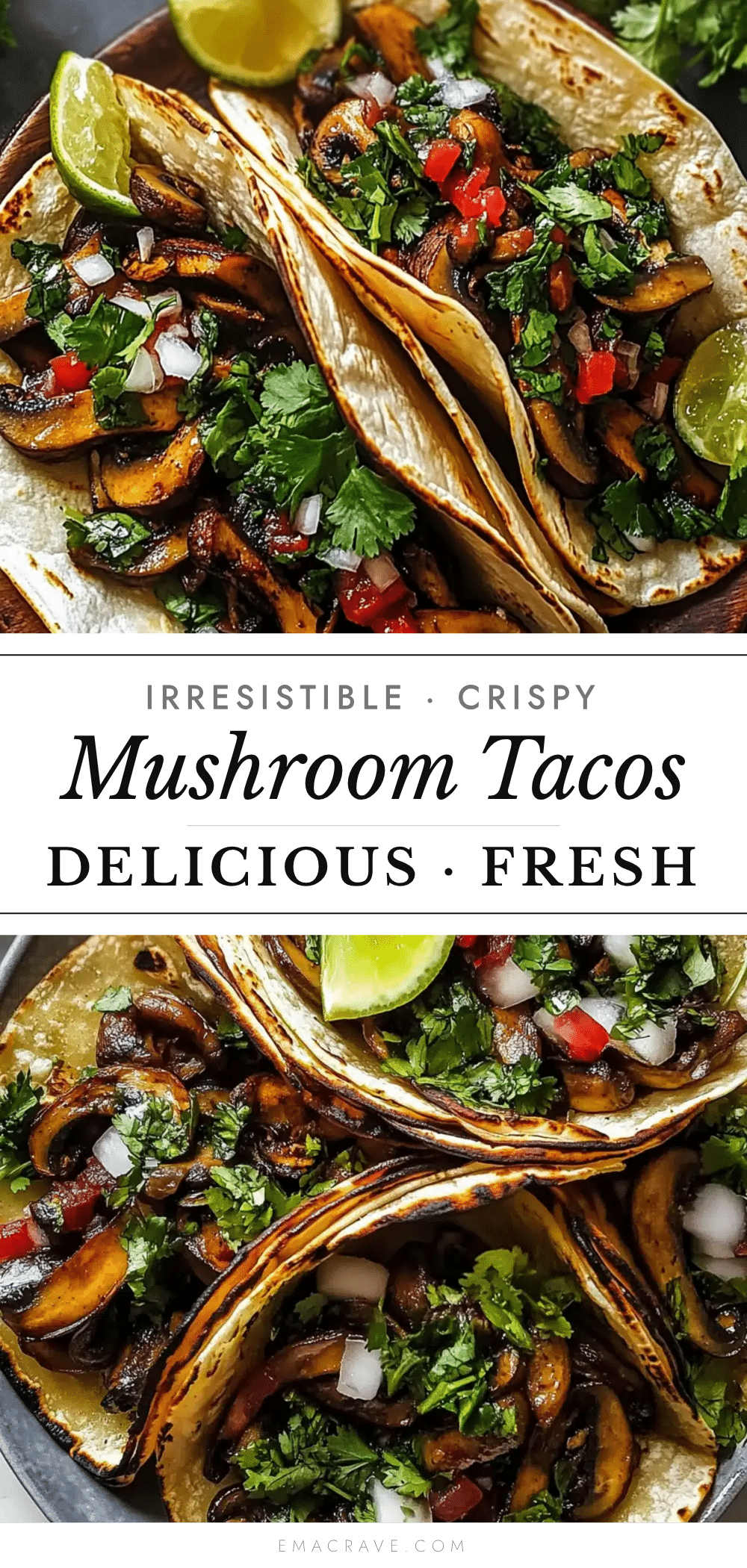 crispy mushroom tacos recipe