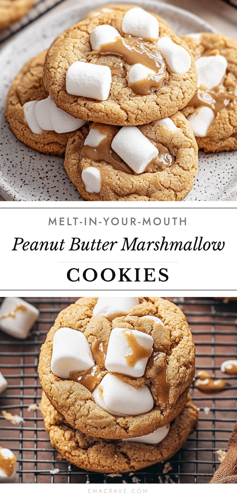 crispy peanut butter marshmallow cookies recipe