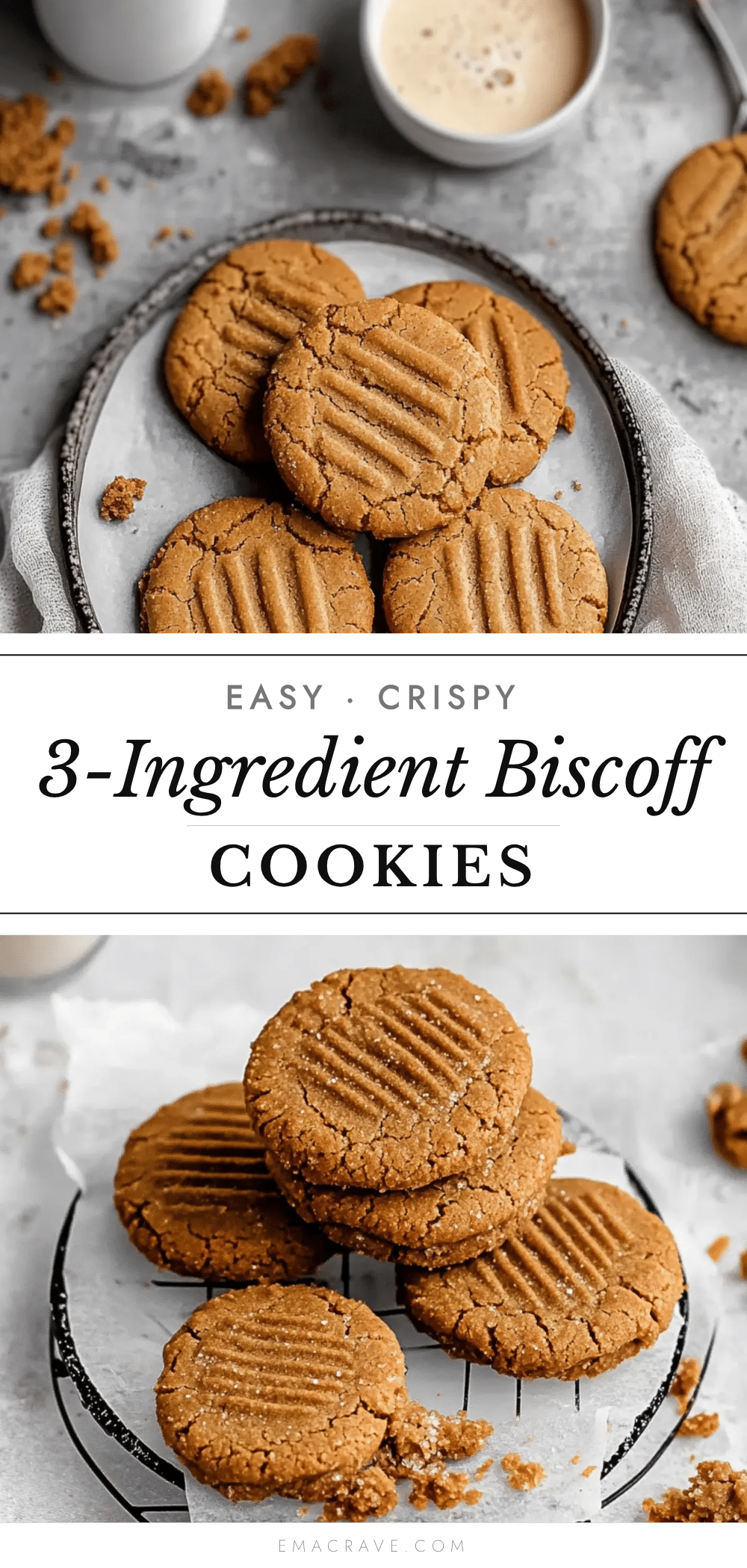 Easy Crispy 3-Ingredient Biscoff Cookies recipe
