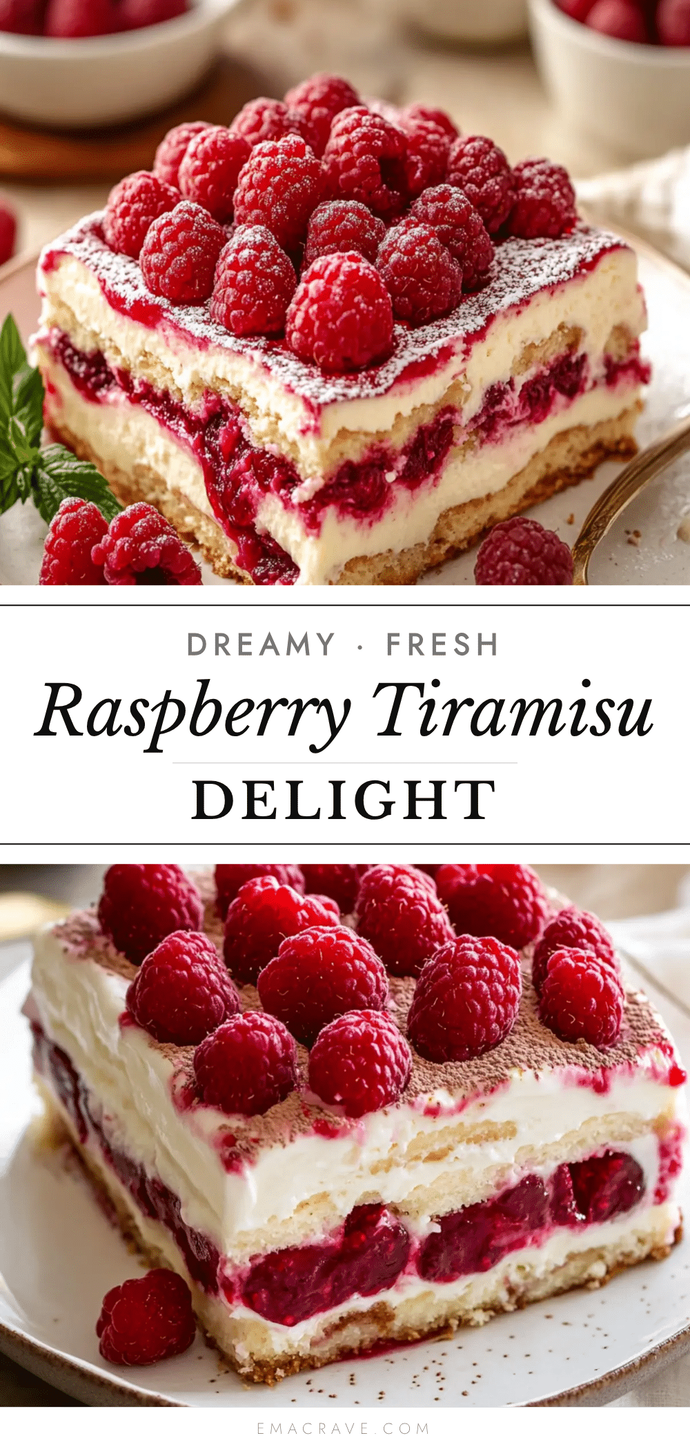 fresh raspberry tiramisu recipe recipe