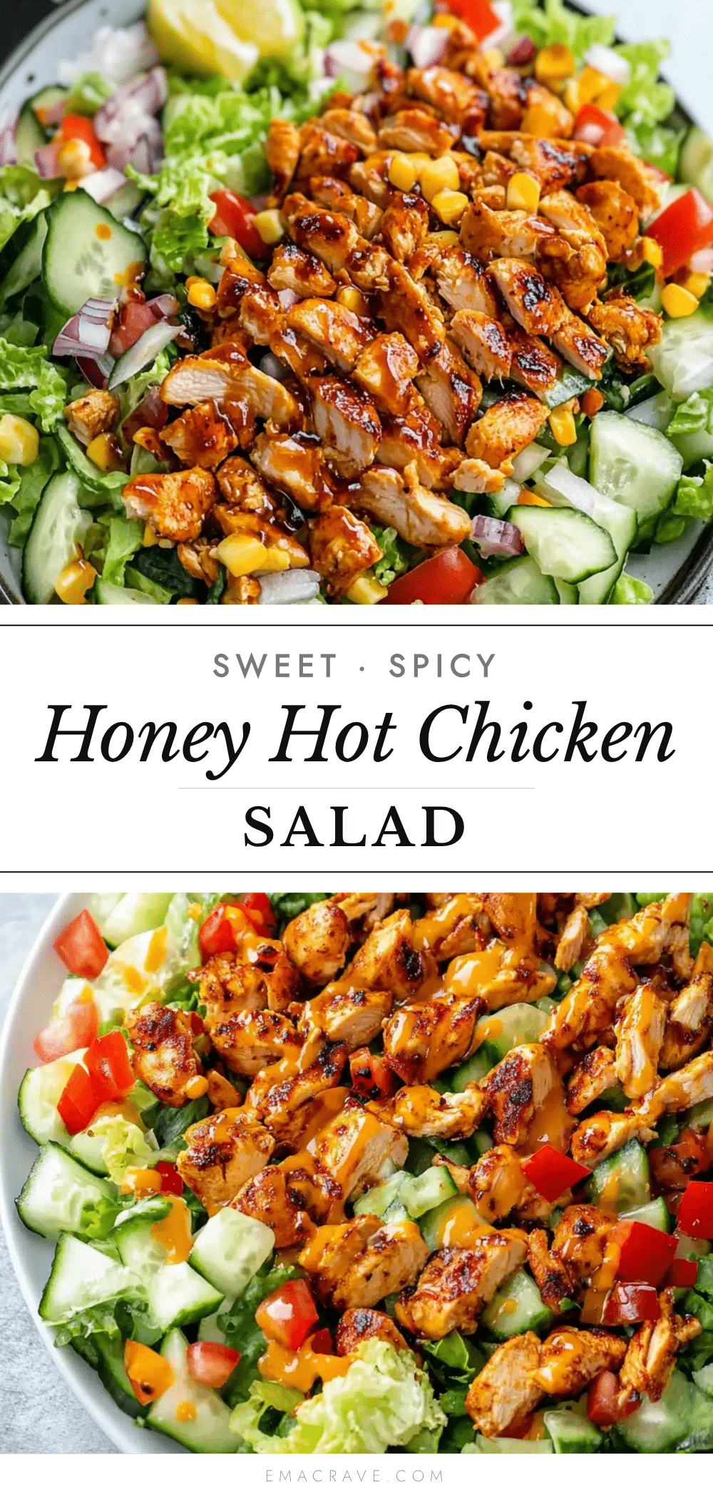 honey hot chicken salad recipe