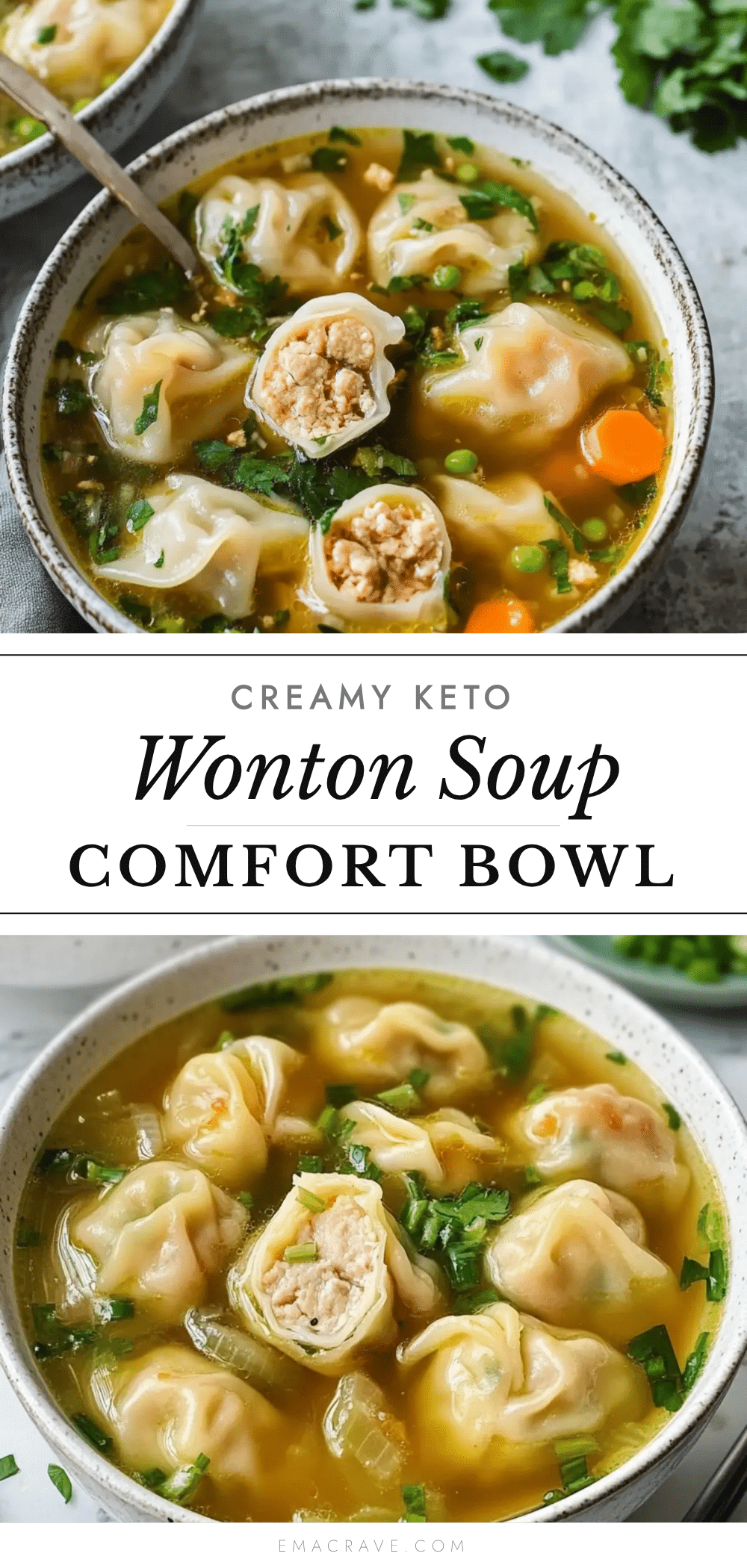 keto wonton soup recipe