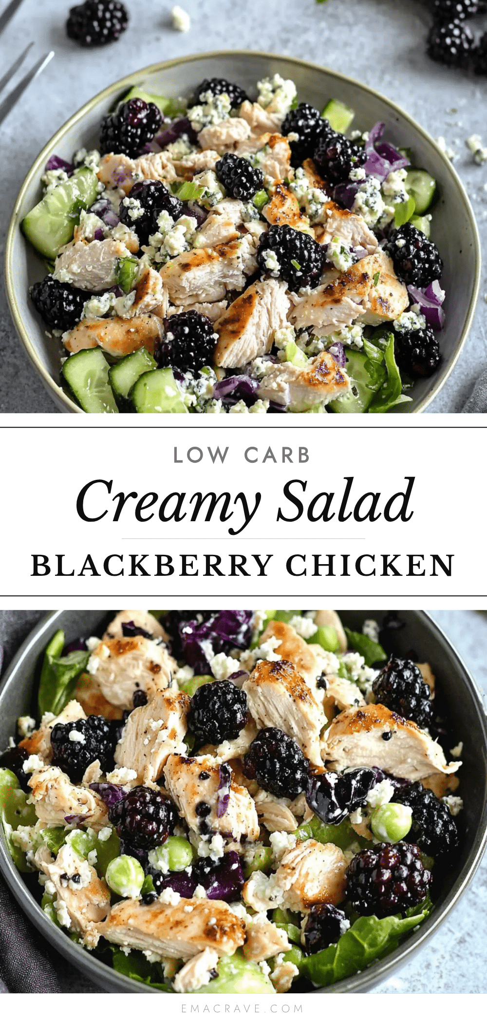 low carb blackberry cottage cheese chicken salad recipe