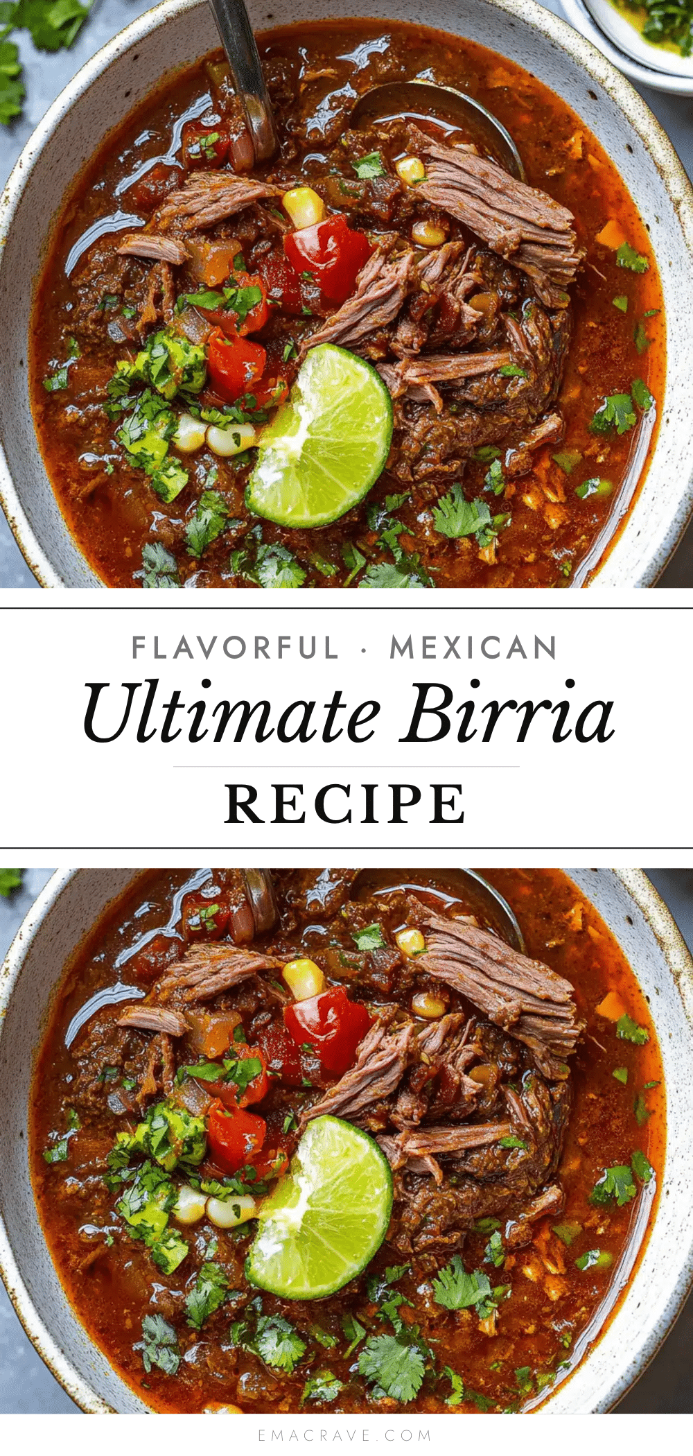mexican birria recipe recipe