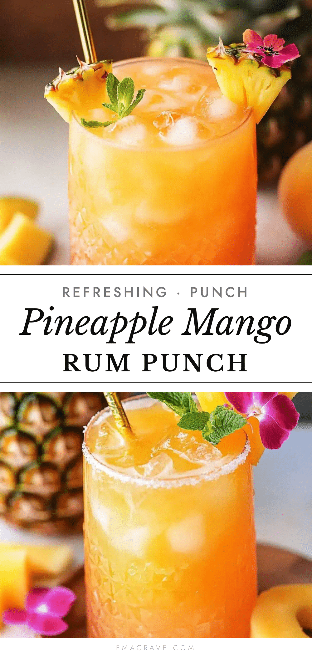 pineapple mango rum punch recipe