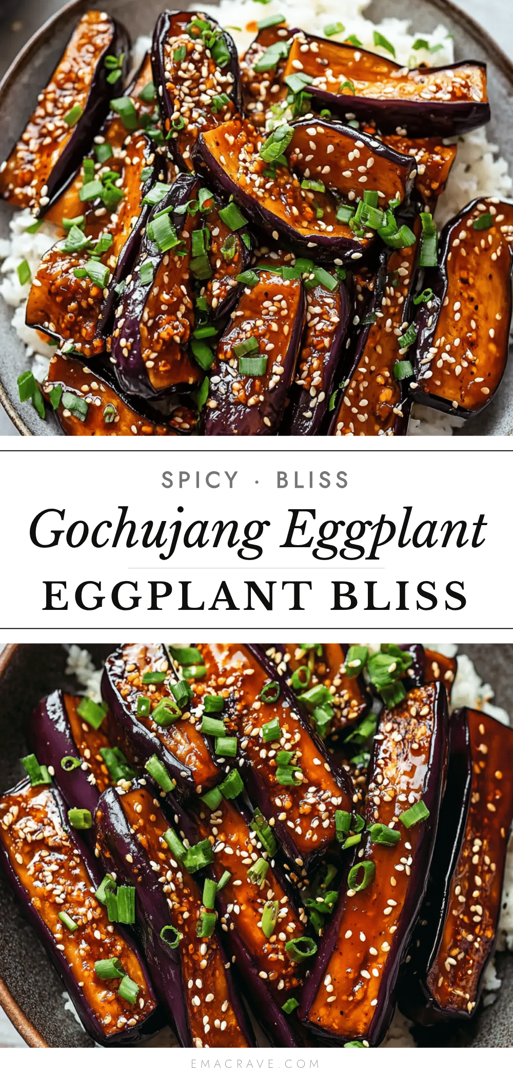 spicy gochujang eggplant recipe recipe