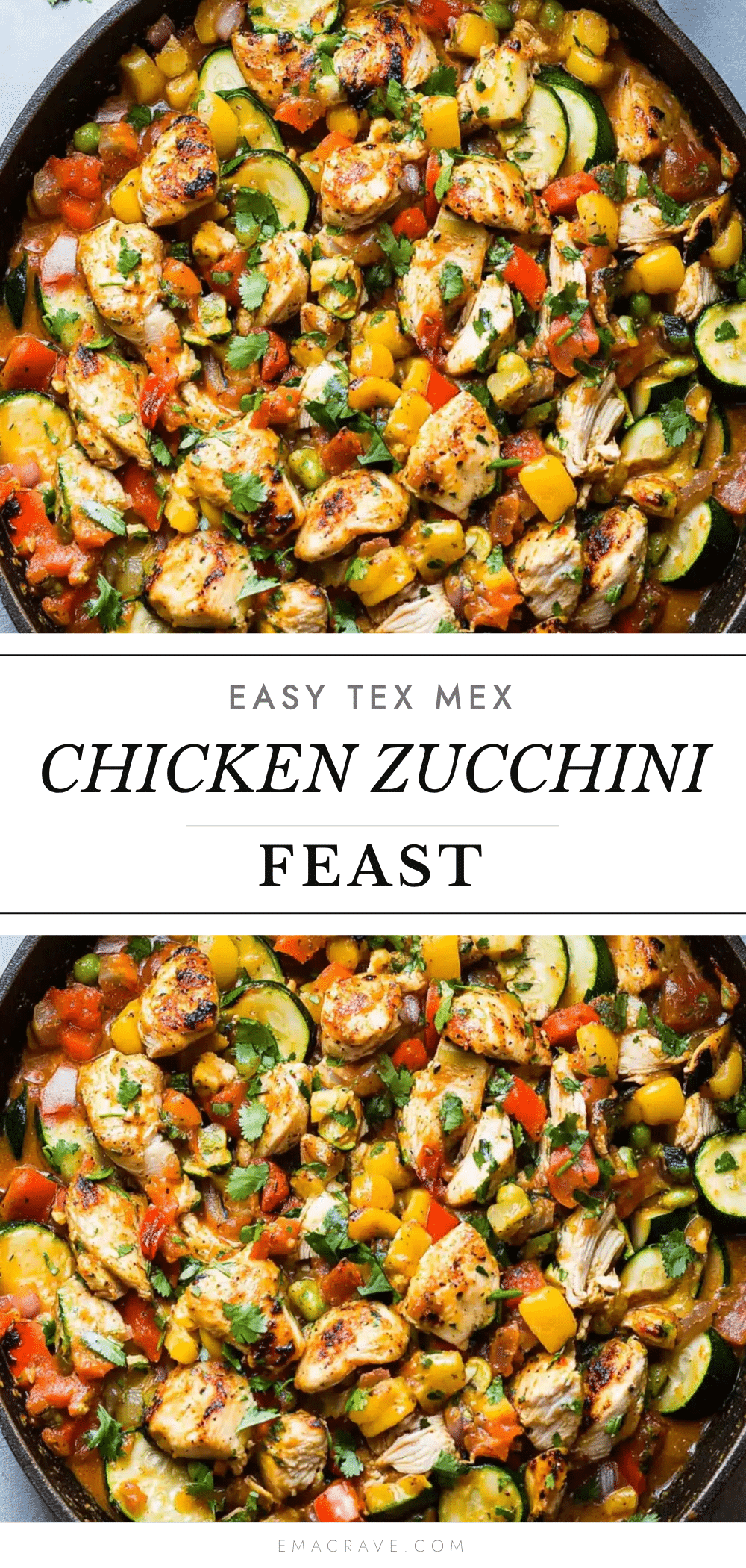 Tex Mex Chicken and Zucchini recipe