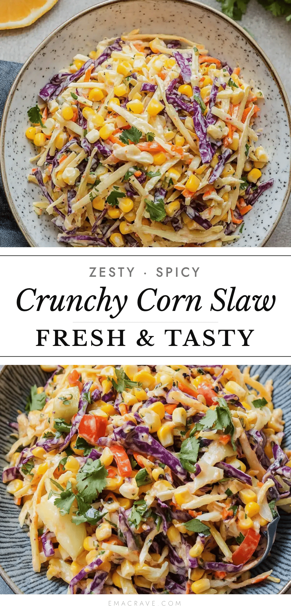 zesty spicy corn slaw recipe