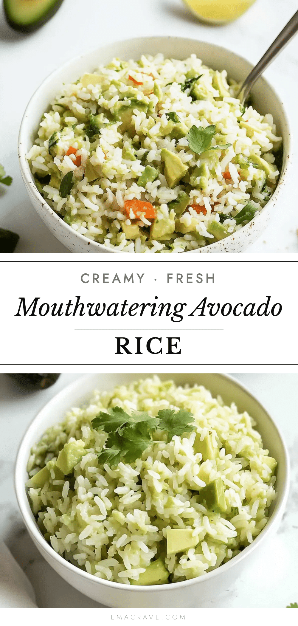 avocado rice recipe recipe