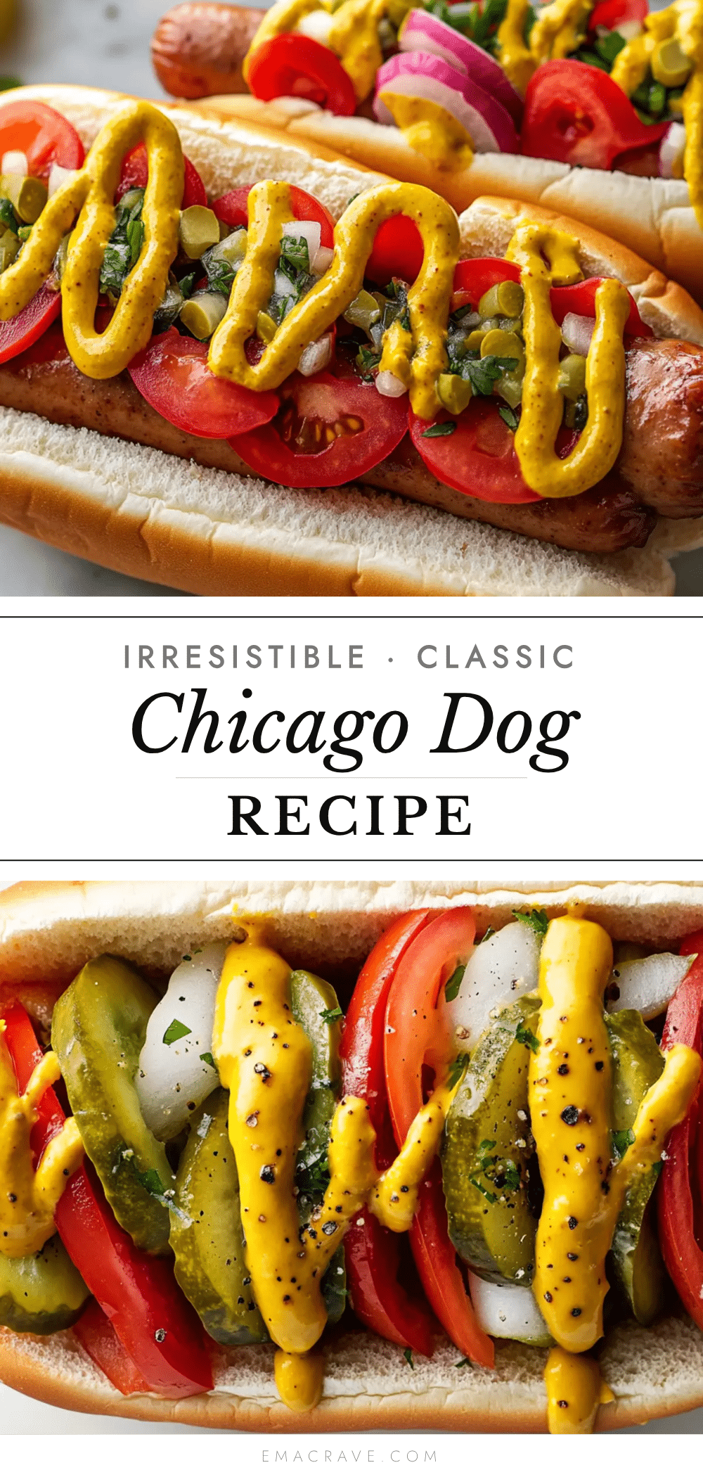 classic Chicago dog recipe recipe