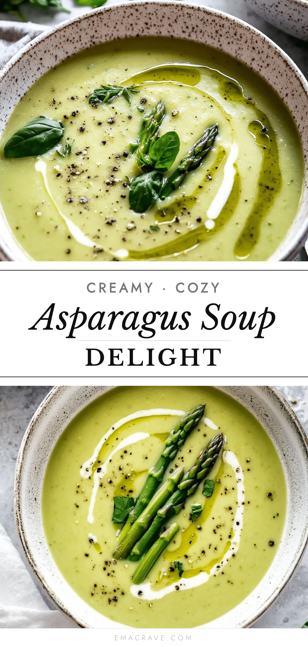 creamy asparagus soup recipe