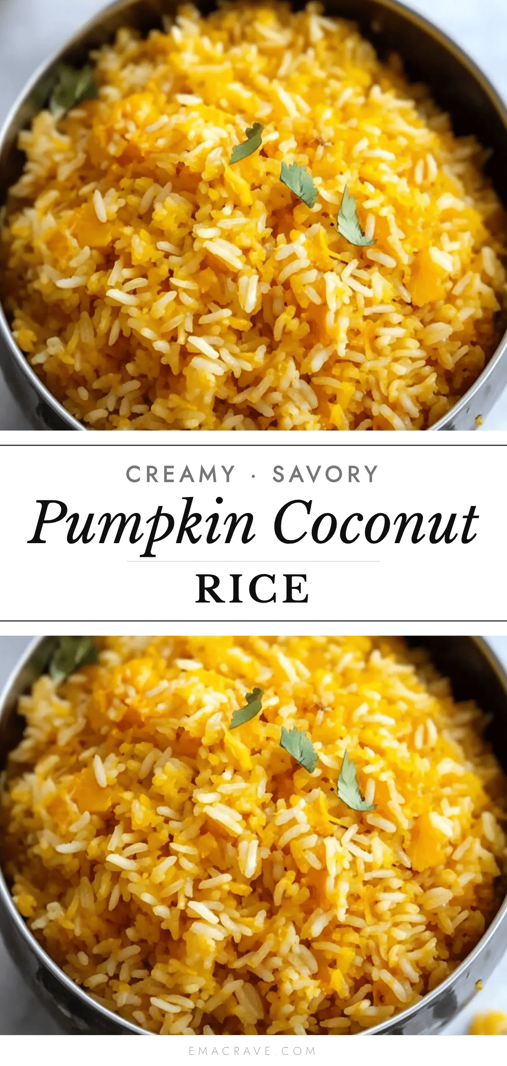 creamy savory pumpkin rice recipe