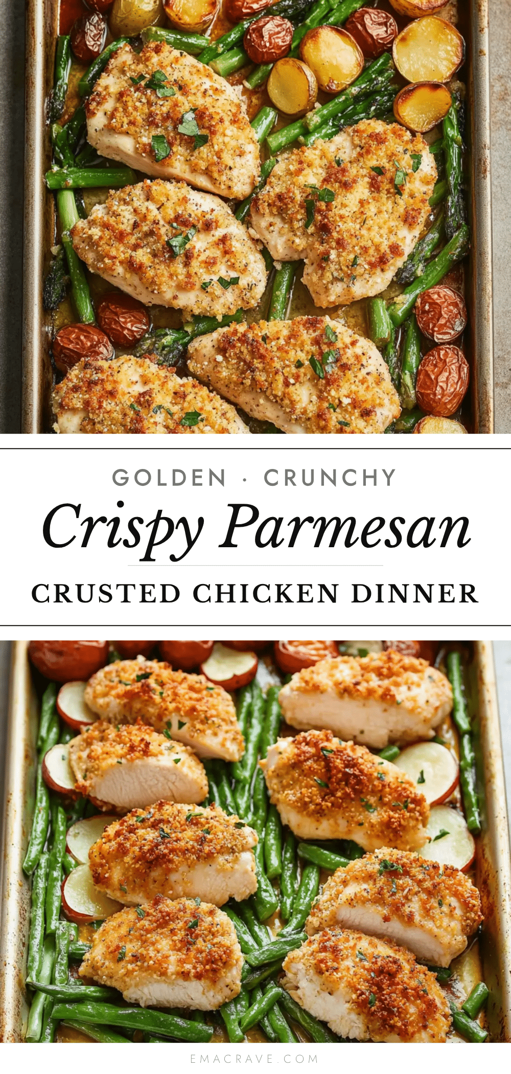crispy parmesan crusted chicken sheet pan dinner recipe