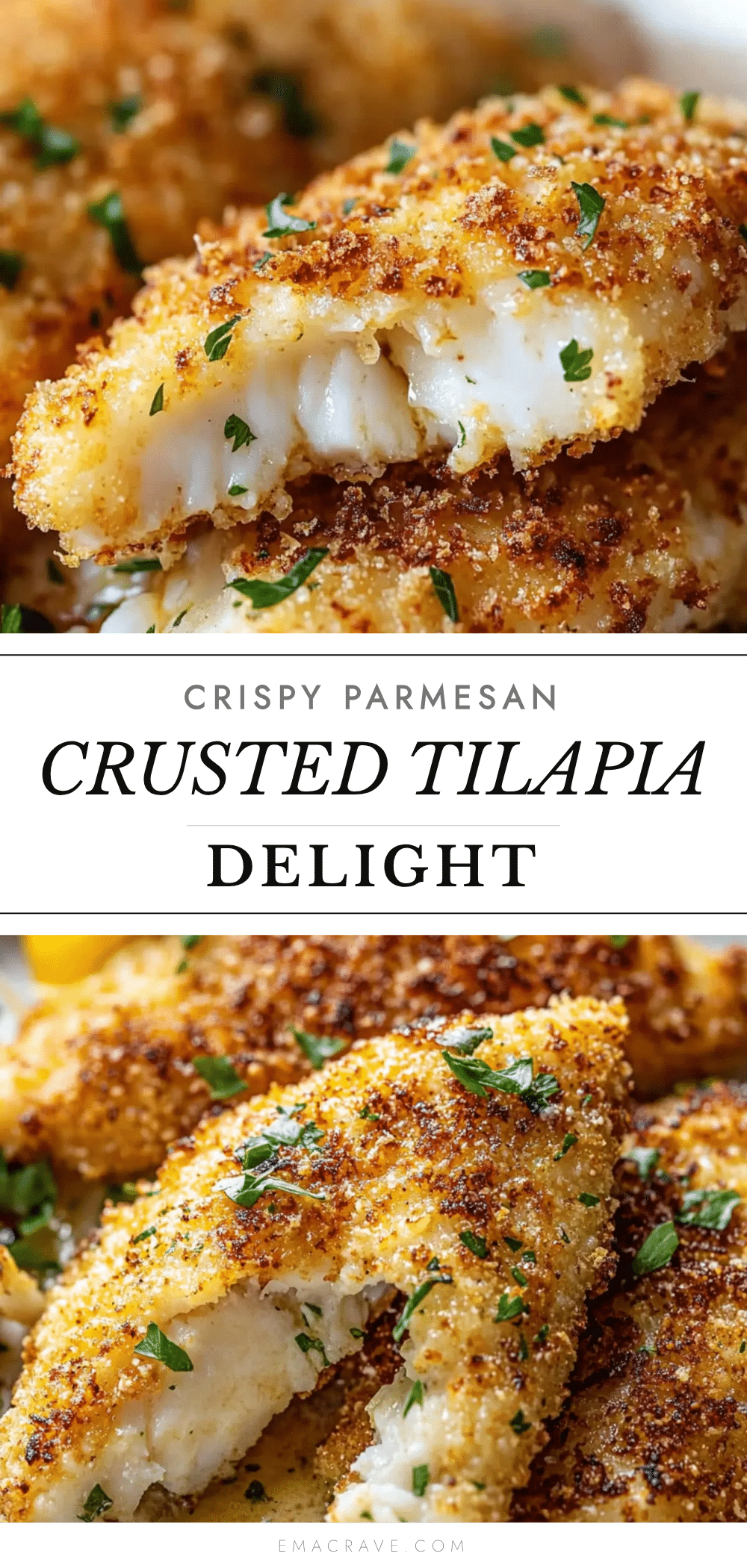 crispy Parmesan crusted tilapia recipe