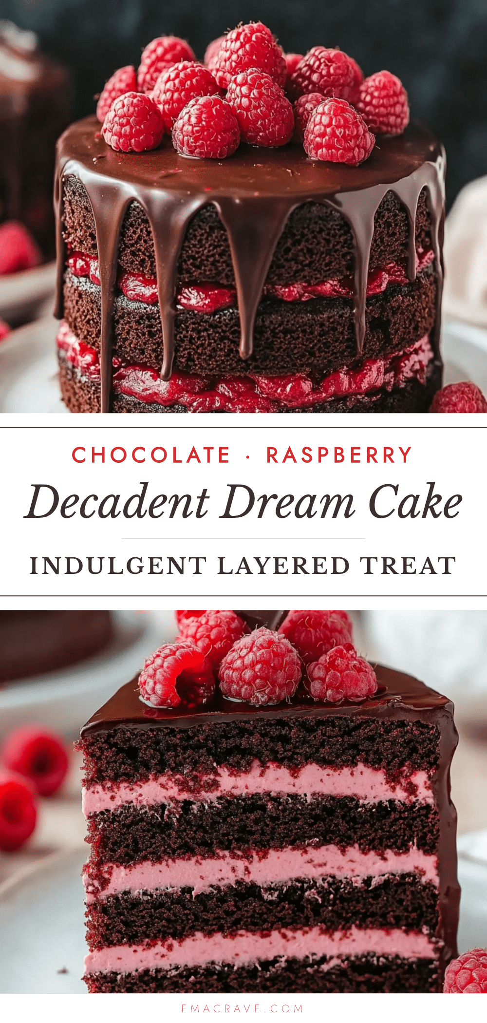 decadent chocolate raspberry cake recipe