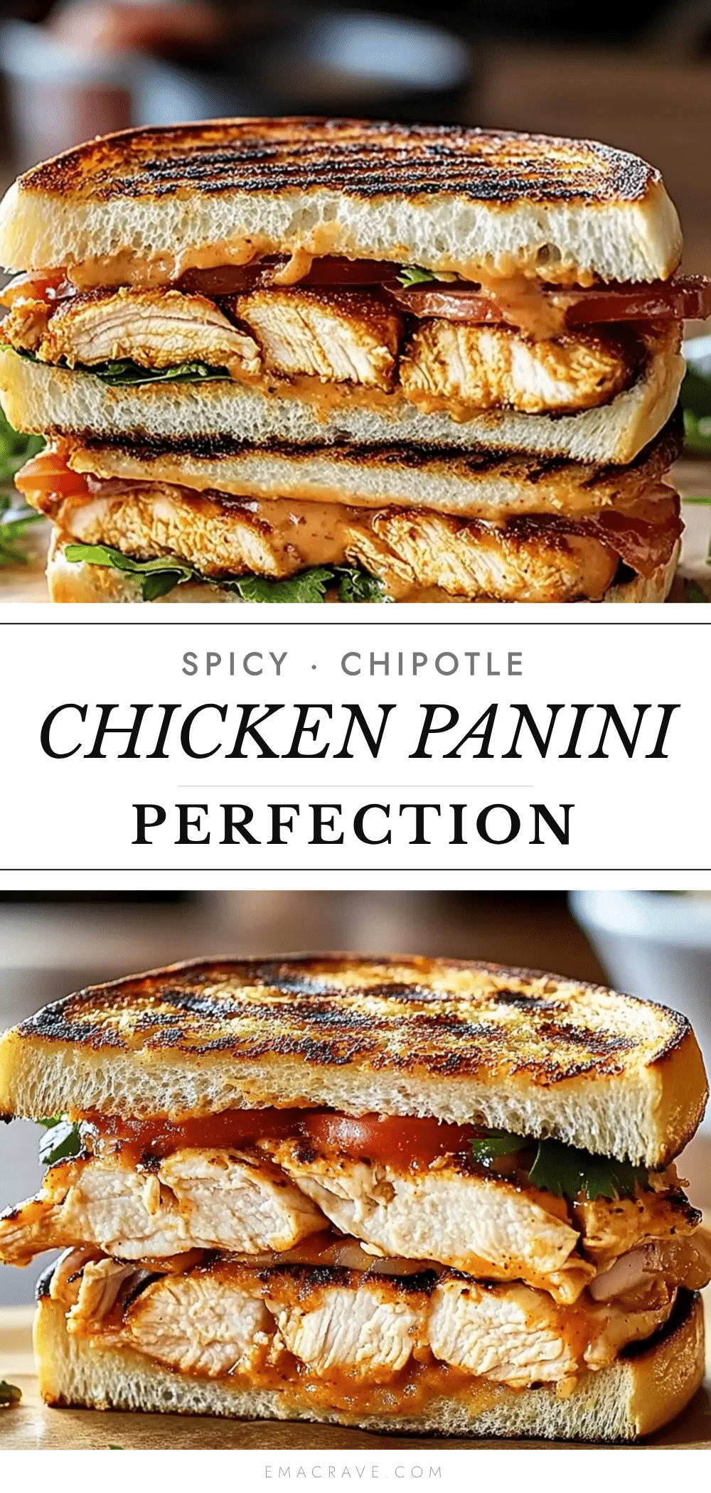 Flavorful Chipotle Chicken Panini recipe
