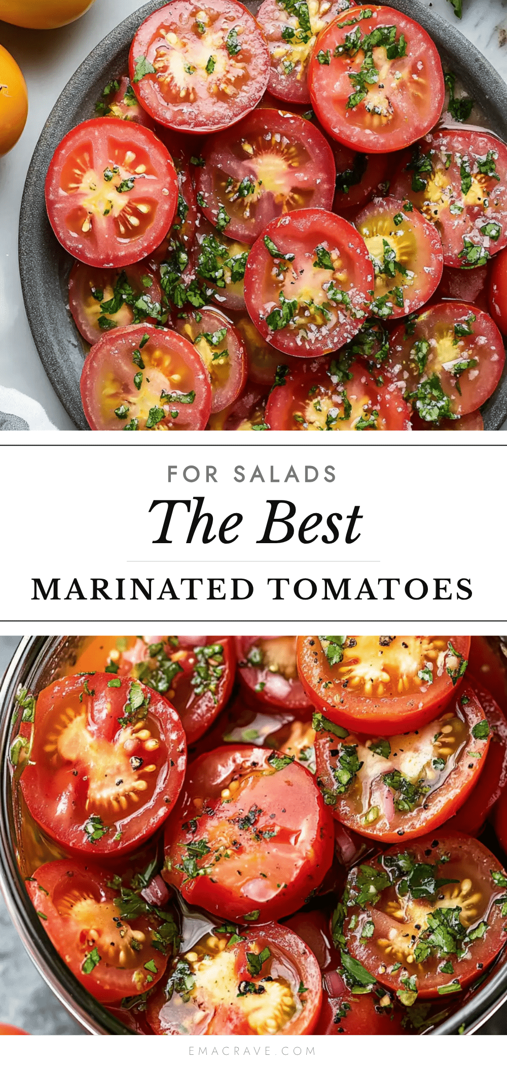 marinated tomatoes salad recipe recipe