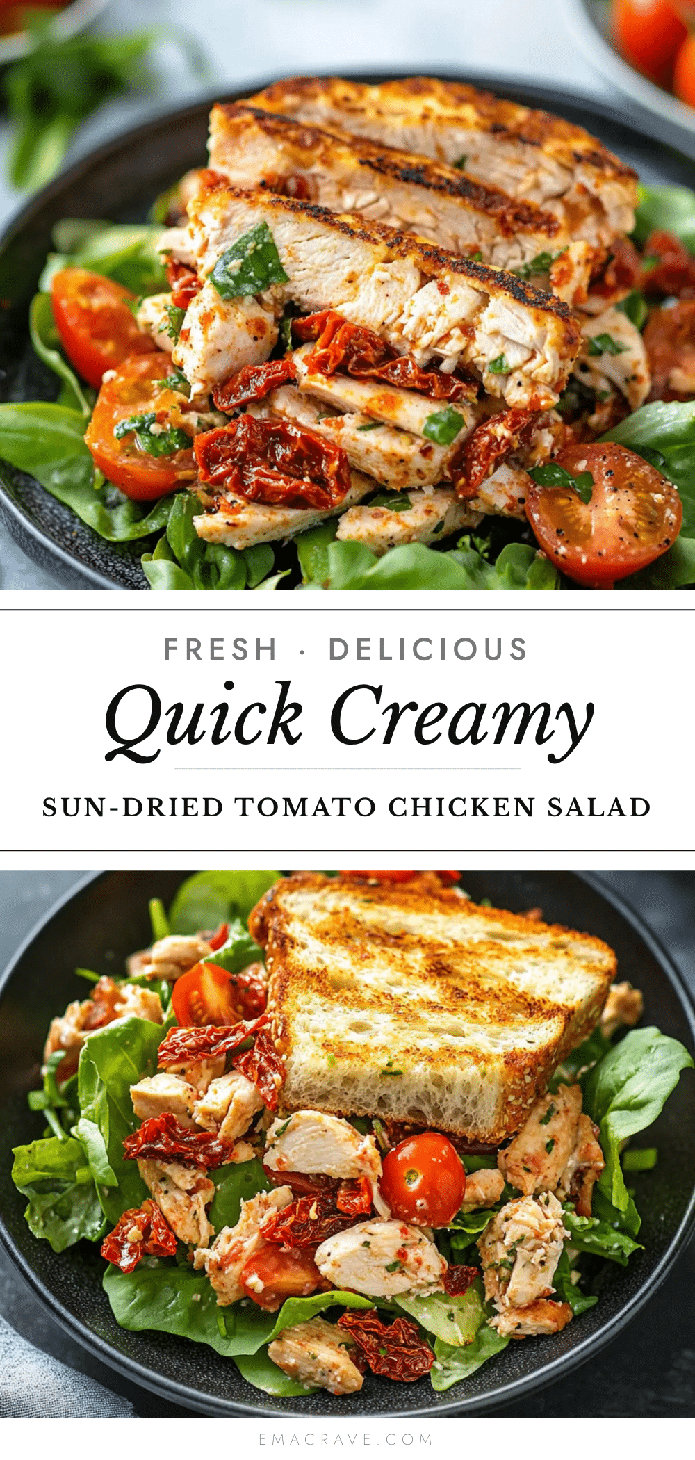 quick creamy sun-dried tomato chicken salad recipe