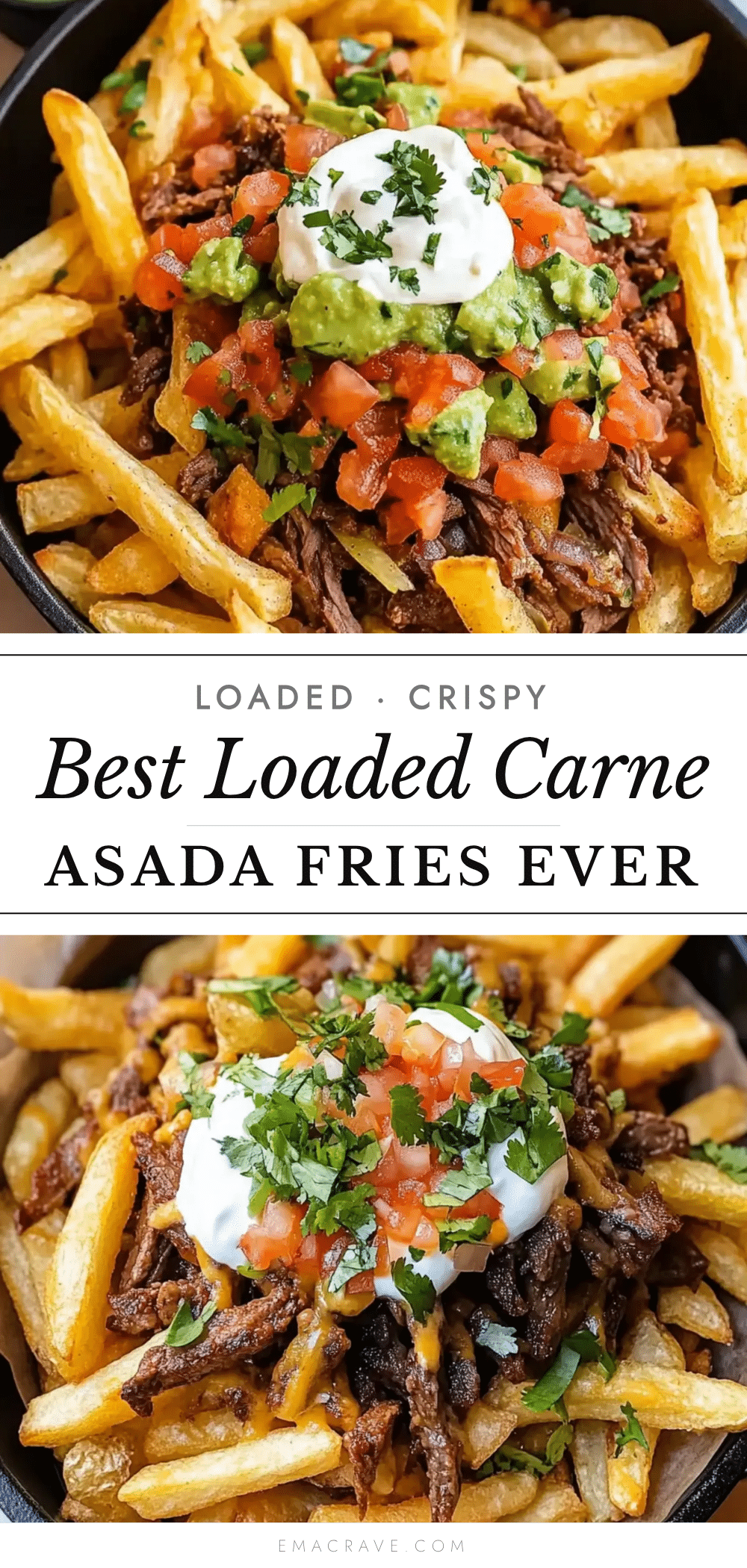 best loaded carne asada fries recipe