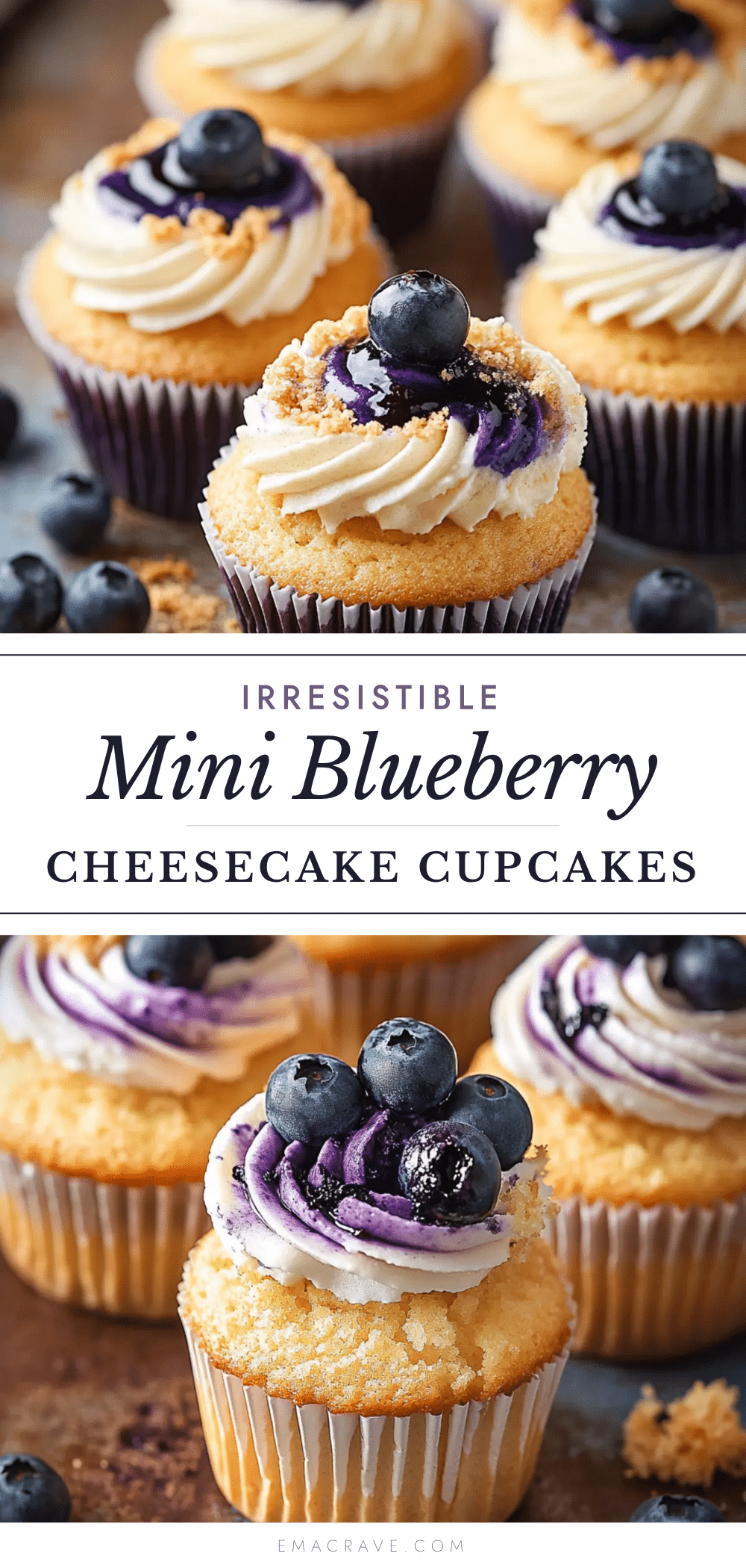 blueberry cheesecake cupcakes recipe