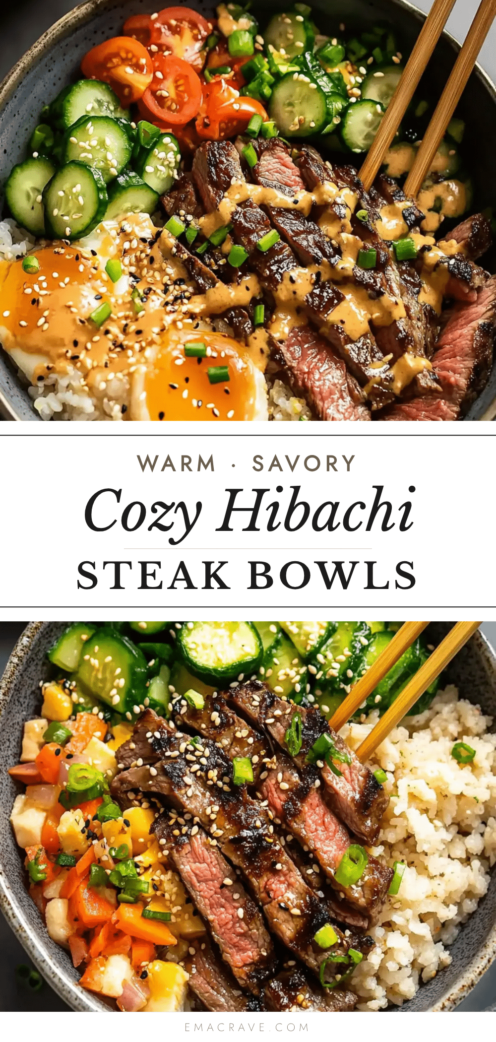 cozy hibachi steak bowls recipe